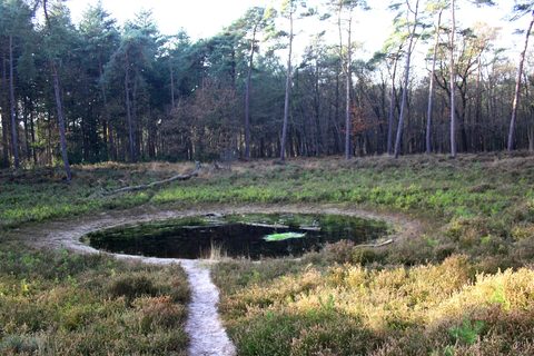 MTB-route Steenwijk, Overijssel — foto 2