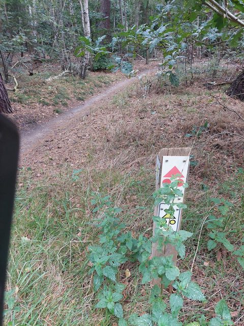 MTB-route Wierden (Lageveld), Overijssel — foto 4