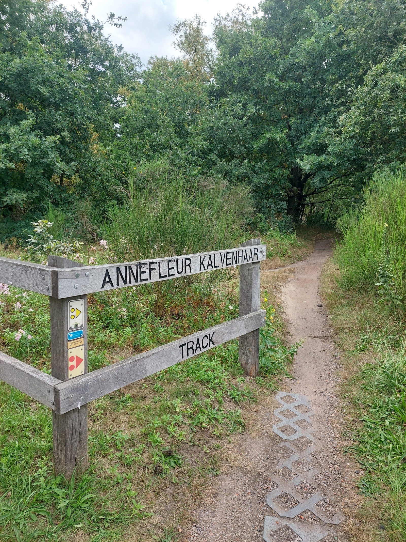 MTB-route Wierden, Overijssel — foto 1