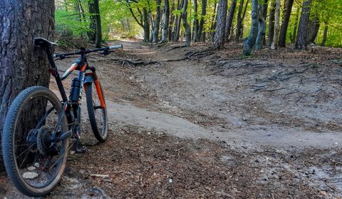 MTB-route Amerongen, Utrechtse Heuvelrug — foto 3
