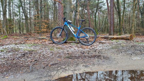 MTB-route Austerlitz (Kinderroute), Utrechtse Heuvelrug — foto 3