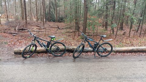 MTB-route Austerlitz, Utrechtse Heuvelrug — foto 4