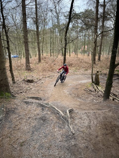 MTB-route Hoge Vuursche, Utrechtse Heuvelrug — foto 4