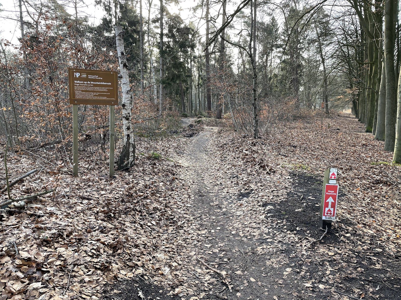 MTB-route Lage Vuursche, Utrechtse Heuvelrug — foto 1