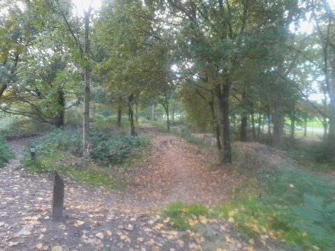 MTB-route Leusden, Utrechtse Heuvelrug — foto 4