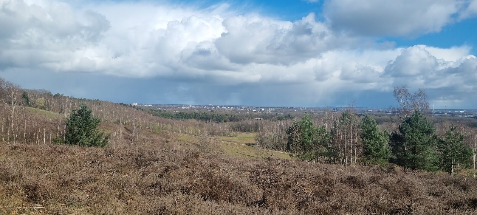 MTB-route Rhenen (Kwintelooijen), Utrechtse Heuvelrug — foto 1