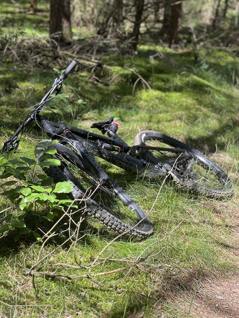 MTB-route Rhenen (Kwintelooijen), Utrechtse Heuvelrug — foto 2