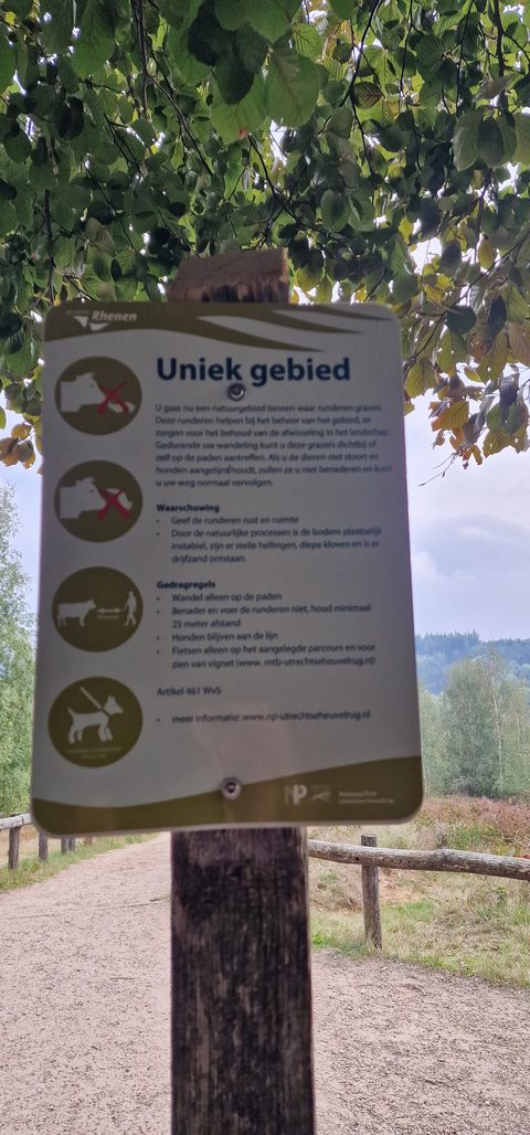 MTB-route Rhenen (Kwintelooijen), Utrechtse Heuvelrug — foto 3