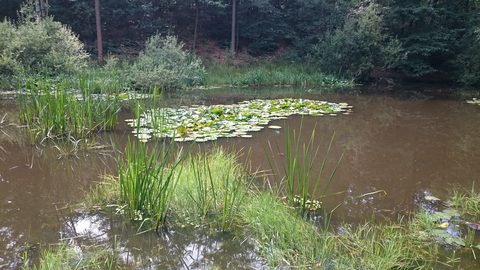 MTB-route Rhenen, Utrechtse Heuvelrug — foto 2