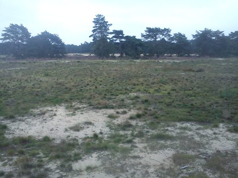 MTB-route Soest, Utrechtse Heuvelrug — foto 2