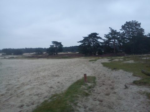 MTB-route Soest, Utrechtse Heuvelrug — foto 3