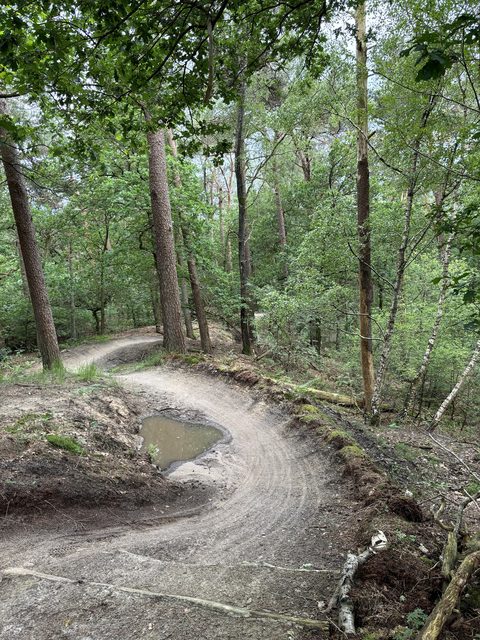 MTB-route Zeist, Utrechtse Heuvelrug — foto 2
