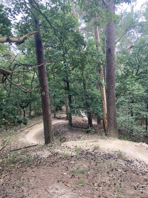 MTB-route Zeist, Utrechtse Heuvelrug — foto 4