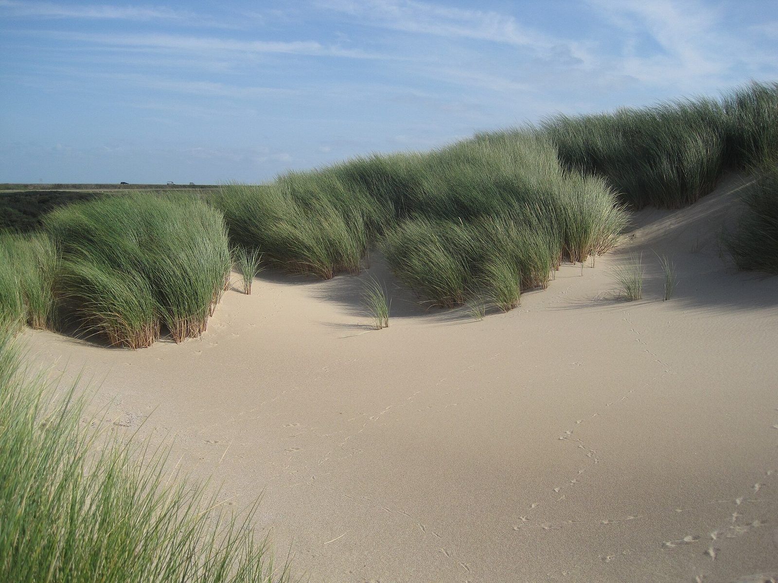 Burgh-Haamstede (Gravel), Schouwen-Duiveland — foto 1