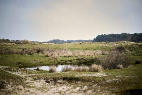 Burgh-Haamstede (Gravel), Schouwen-Duiveland — foto 2