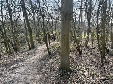 MTB-route Middelburg, Walcheren — foto 2