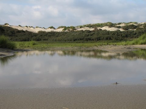 MTB-route Noord - Beveland (West), Zeeland — foto 2