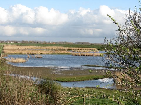 MTB-route Noord - Beveland (West), Zeeland — foto 3