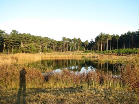MTB-route Westenschouwen, Schouwen-Duiveland — foto 2