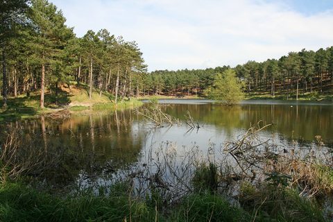 MTB-route Westenschouwen, Schouwen-Duiveland — foto 3