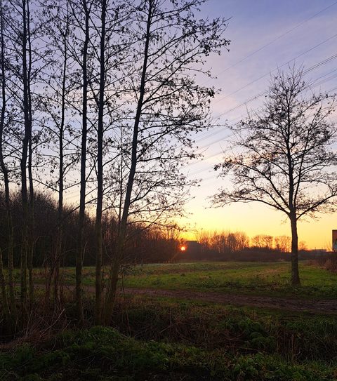 MTB-route Benthuizen, Zuid-Holland — foto 3