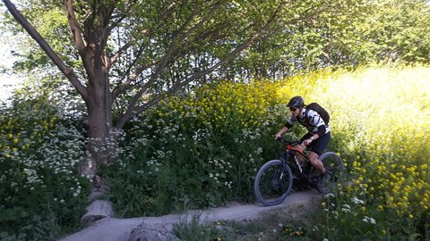 MTB-route Bergschenhoek (Zuid), Zuid-Holland — foto 3