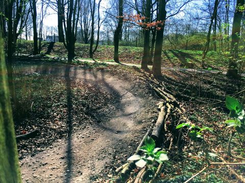 MTB-route Den Haag, Zuid-Holland — foto 4