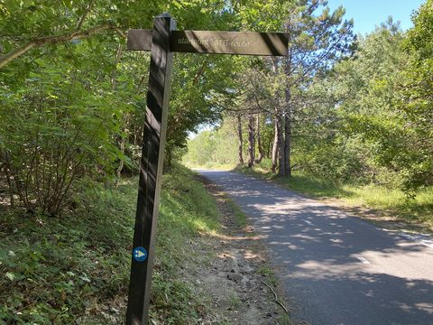 MTB-route Noordwijk, Zuid-Holland — foto 2