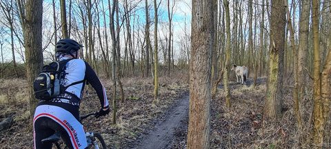 MTB-route Oostvoorne, Zuid-Holland — foto 3