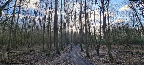 MTB-route Oostvoorne, Zuid-Holland — foto 4
