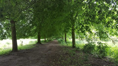 Foto van de route Vlaardingen