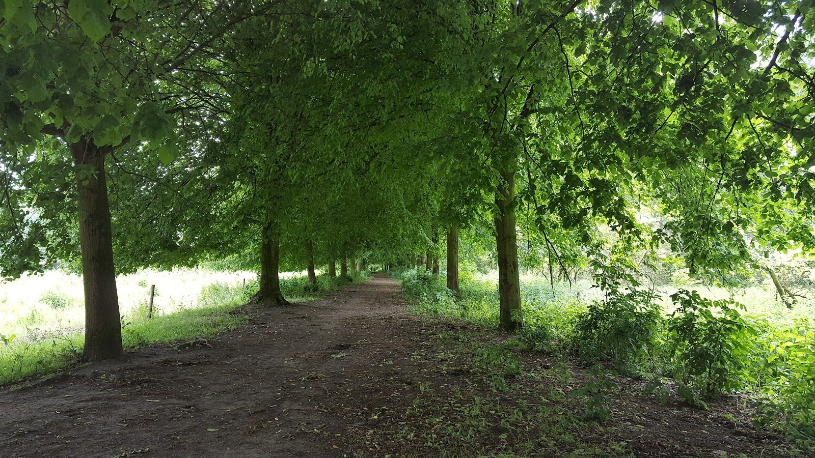 MTB-route Vlaardingen, Zuid-Holland — foto 1