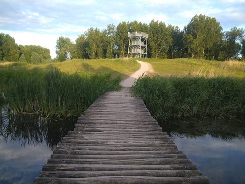 MTB-route Vlaardingen, Zuid-Holland — foto 2