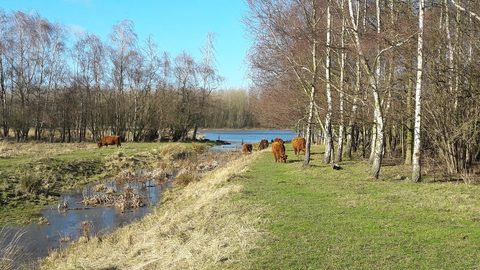 MTB-route Vlaardingen, Zuid-Holland — foto 4